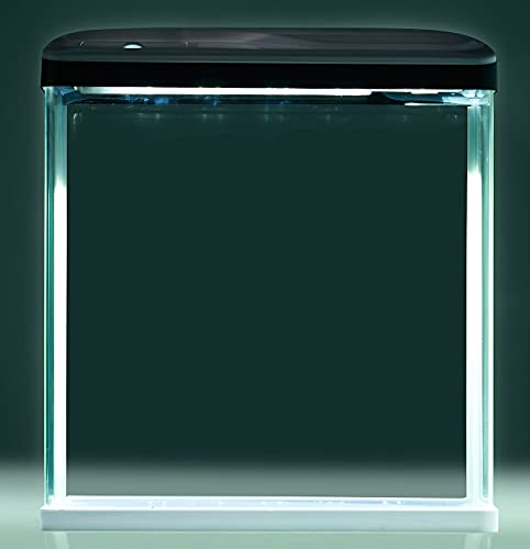 Sweetypet Nanobecken: Nano-Aquarium-Komplett-Set mit LED-Beleuchtung, Pumpe und Filter, 25 l (Aquarien)