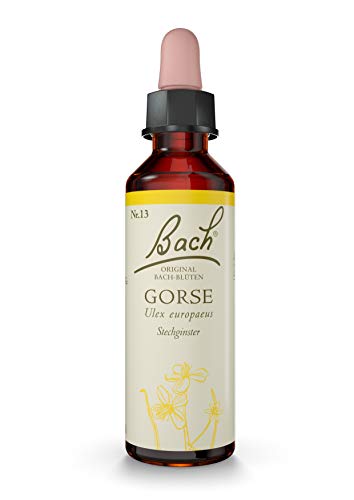 Original Bachblüten Tropfen Nr. 13 Gorse: Neue Kraft und positive Gedanken mit der Bach-Blüte Stechginster, 20ml