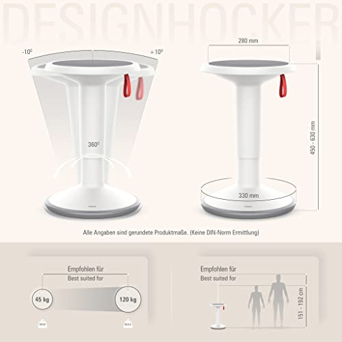 Interstuhl UPis1 - ergonomischer Sitzhocker mit Schwingeffekt - höhenverstellbar - Hocker mit rutschhemmender Standfläche & Kippschutz - Sitzhocker für gesünderes Arbeiten (Grauweiß)