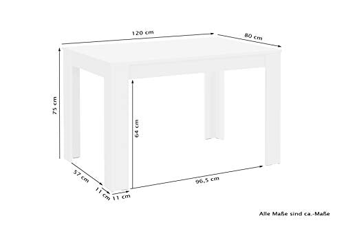 Homexperts Tisch, Beton-Optik, 120 x 80 cm