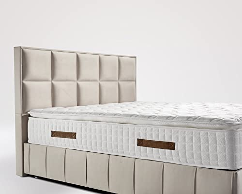 Halle Boxspringbett mit Bettkasten Velourstoff 200 x 200 cm/Navyblau/LED-Fuß