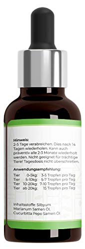 Saint Nutrition® Wurm+ Liquid Vegan, Flüssige Wurmkur & natürliche Entwurmung - besonders zu empfehlen für den Hund und die Katze - für Katzen und Hunde