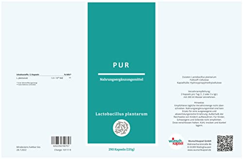 Lactobacillus plantarum Pur, 10 Milliarden (1 x 10^10) KbE, hochdosierte Milchsäurebakterien in 290 vegane Premium-Kapseln, handgefertigt aus der Wunschkapsel-Manufaktur