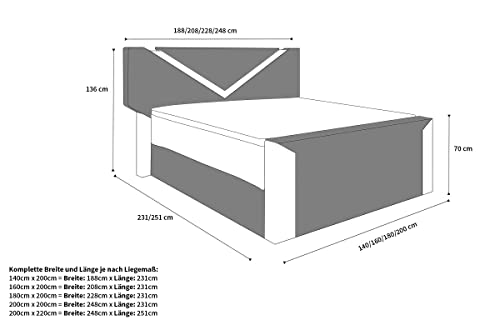 Sofa Dreams Boxspringbett Lyon Bettrahmen in Mikrofaser Stauraum LED Licht 140x200 160x200 180x200 200x200 200x220 (200 x 220 cm, Schwarz-Weiß M14)