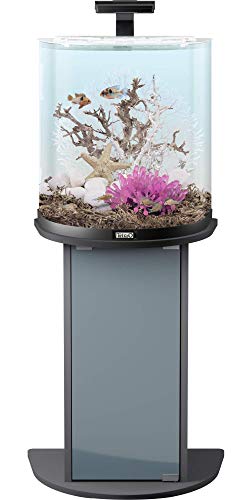 Tetra Explorer Line 60 L Aquarium Komplett-Set - Design Aquarium mit gebogener Frontscheibe, LED-Beleuchtung, Technik, Futter und Pflegemitteln, Farbe: Schwarz