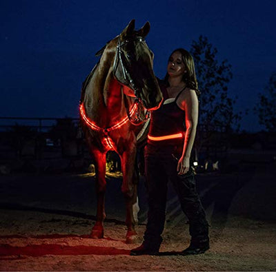 LED-Pferdegeschirr-Halsband – hohe Sichtbarkeit für Reiten, verstellbare Sicherheitsausrüstung – verstellbar, robust und bequem für Reitsport bei Nacht.