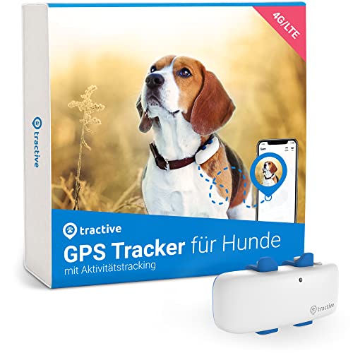 Tractive GPS DOG 4. Tracker für Hunde. Immer wissen, wo dein Hund ist. Halte ihn mit Aktivitätstracking fit. Unbegrenzte Reichweite. (Schneeweiß)