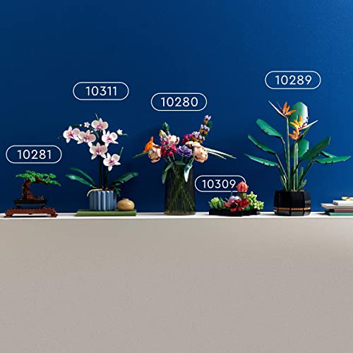 LEGO 10309 Icons Sukkulenten, Botanical Collection Set für Erwachsene zum Basteln, Zimmerdeko mit 9 künstlichen Mini-Pflanzen, Home Deko mit Blumen