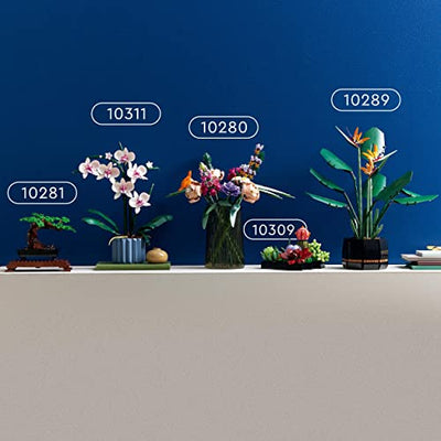 LEGO 10309 Icons Sukkulenten, Botanical Collection Set für Erwachsene zum Basteln, Zimmerdeko mit 9 künstlichen Mini-Pflanzen, Home Deko mit Blumen