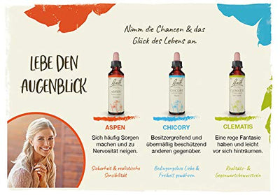 Original Bachblüten Tropfen Nr. 8 Chicory: Für ihre Mitmenschen dasein mit der Bach-Blüte Wegwarte, 20ml