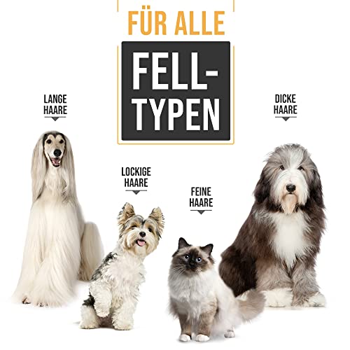 PetKing Leise Hundeschermaschine Schermaschine Hund Profi Tierhaarscheidemaschine für Hunde Haarschneidemaschine Katzen Haustier Elektrische Wiederaufladbare Schnurlosen Tierhaarschneider Dog Clippers