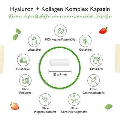 Hyaluronsäure Kollagen Komplex - 240 Kapseln - Premium: Mit bioaktives Biotin, Selen, Zink, natürliches Vitamin C aus Acerola & Silizium aus Bambus - Laborgeprüft