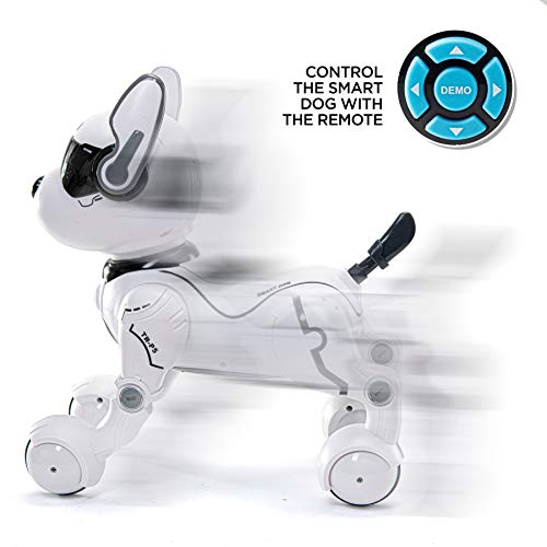 Top Race Ferngesteuertes Roboterhund mit Licht und Sound, Interaktives Hundespielzeug, Ferngesteuerter Welpen Roboter tanzt intelligent zum Beat, elektronisches Haustier für Kinder von 3,4,5,6,7,8,9