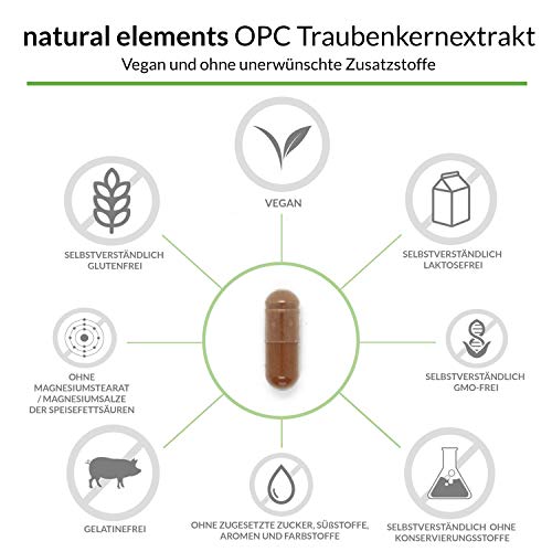 OPC Traubenkernextrakt - 240 Kapseln für 8 Monate - Laborgeprüftes OPC aus europäischen Weintrauben