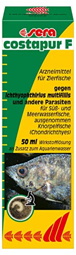 sera costapur F 50 ml - Arzneimittel für Fische gegen Ichthyophthirius multifiliis und andere einzellige Hautparasiten, Medizin fürs Aquarium