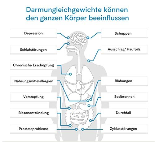 Darmtest Gesamtstatus – Gesundheitscheck Darm & Parasiten Test – Stuhltest auf Darmbakterien, Candida, Helicobacter, Parasiten & Leaky Gut Verisana