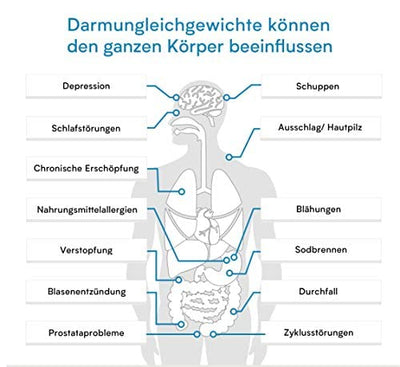 Darmtest Gesamtstatus – Gesundheitscheck Darm & Parasiten Test – Stuhltest auf Darmbakterien, Candida, Helicobacter, Parasiten & Leaky Gut Verisana