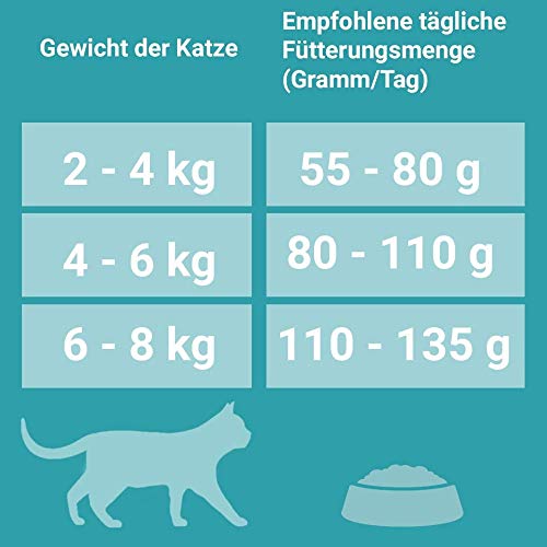 PURINA ONE BIFENSIS STERILCAT Katzenfutter trocken für sterilisierte Katzen, reich an Huhn, 1er Pack (1 x 6kg)