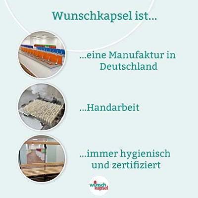 Lactobacillus plantarum Pur, 10 Milliarden (1 x 10^10) KbE, hochdosierte Milchsäurebakterien in 290 vegane Premium-Kapseln, handgefertigt aus der Wunschkapsel-Manufaktur