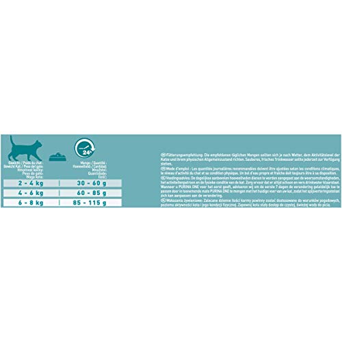 PURINA ONE BIFENSIS STERILCAT Katzenfutter trocken für sterilisierte Katzen, reich an Huhn, 1er Pack (1 x 6kg)