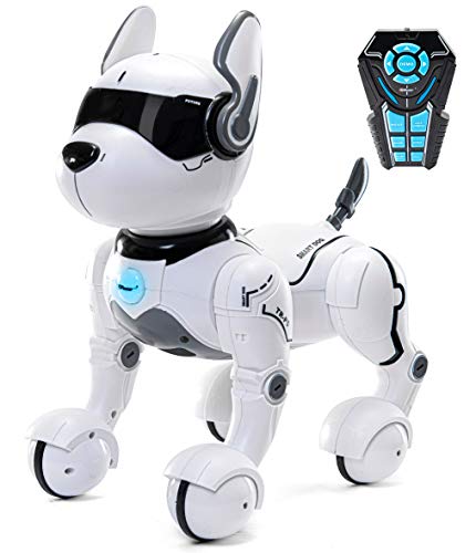 Top Race Ferngesteuertes Roboterhund mit Licht und Sound, Interaktives Hundespielzeug, Ferngesteuerter Welpen Roboter tanzt intelligent zum Beat, elektronisches Haustier für Kinder von 3,4,5,6,7,8,9