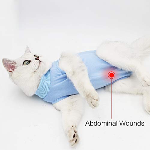 Dotoner Katzenbody Nach Op Anti-leckende für Katze Body Operation Haut-Krankheit Recovery Body Katze Kleidung Nach Kastration E-Halsband Alternative für Katzen Hunde (L, blau)