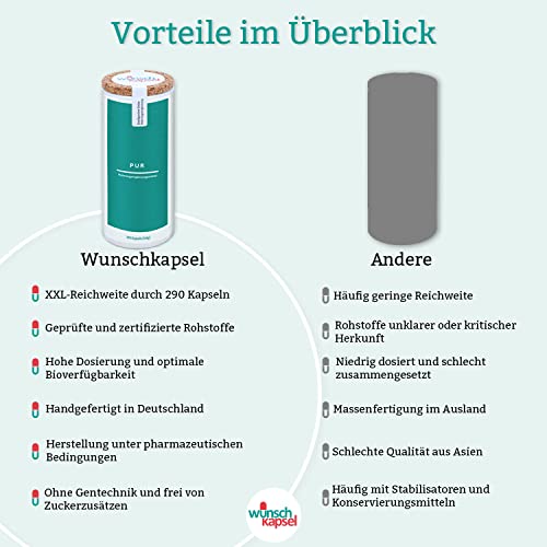 Lactobacillus plantarum Pur, 10 Milliarden (1 x 10^10) KbE, hochdosierte Milchsäurebakterien in 290 vegane Premium-Kapseln, handgefertigt aus der Wunschkapsel-Manufaktur