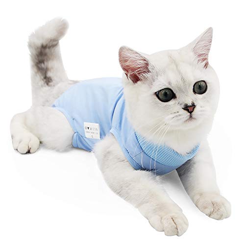 Dotoner Katzenbody Nach Op Anti-leckende für Katze Body Operation Haut-Krankheit Recovery Body Katze Kleidung Nach Kastration E-Halsband Alternative für Katzen Hunde (L, blau)