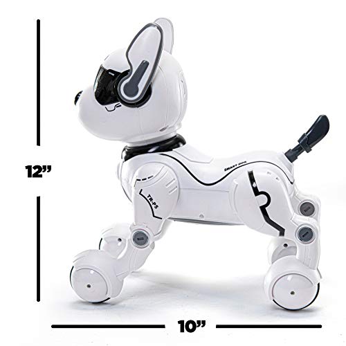 Top Race Ferngesteuertes Roboterhund mit Licht und Sound, Interaktives Hundespielzeug, Ferngesteuerter Welpen Roboter tanzt intelligent zum Beat, elektronisches Haustier für Kinder von 3,4,5,6,7,8,9