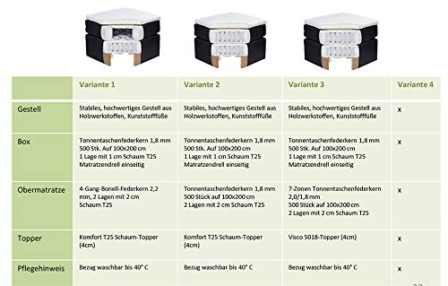 Froschkönig24 Alabama elektrisches Motor Boxspringbett 180x200cm Verstellbar Bett Grau, Ausführung:Variante 1