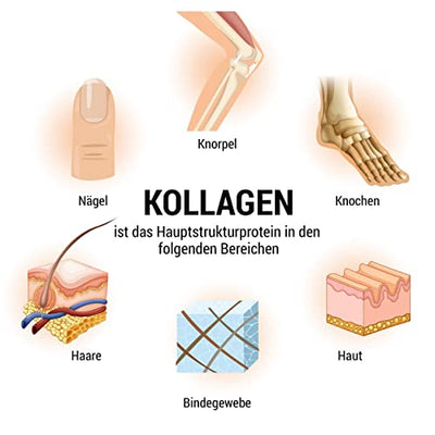 Collagen Pulver 1kg - Bioaktives Kollagen Hydrolysat Peptide I Eiweiß-Pulver Geschmacksneutral I Wehle Sports Made in Germany Kollagen Typ 1 2 3 Lift Drink