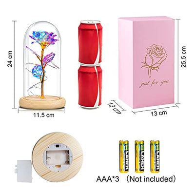 QUNPON Geschenke für Frauen Ewige Rose im Glas Die Schöne und das Biest Rose in Glaskuppel mit LED-Lichter Künstliche Blumen Rose Geschenke für Weihnachten Geburtstag Mama Freundin Oma