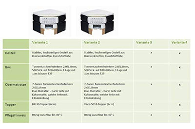 Froschkönig24 Denver Boxspringbett 180x200cm Grün inkl. Motor & motorisierte TV-Halterung, Ausführung:Variante 2