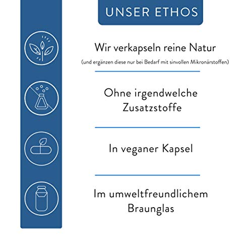 Vitalplant® Prosta Plant Kapseln im Braunglas | einzigartige Zusammensetzung aus Kürbiskernextrakt, Sägepalmenextrakt, Brennnesselwurzel