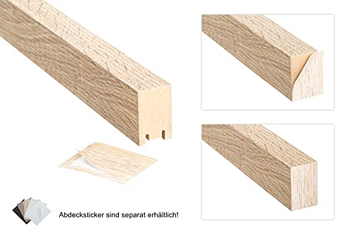 HEXIM 2,7m Lamellen MDF Holz - Lamellenwand Raumteiler Top Design Holzlamellen Wandverkleidung - (8 Stück - Black Edition) Sonnenschutz Hotel Design