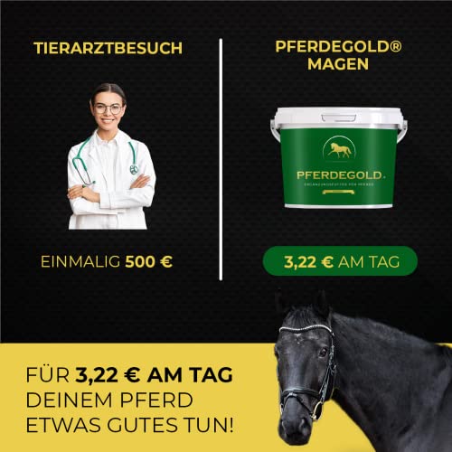 Pferdegold® Magen – Pellets zur Regulierung der Magensäure, für eine gesunde Darmflora, natürliches Ergänzungsfutter für Pferde, dopingfrei, hergestellt in Deutschland, 1,5 kg