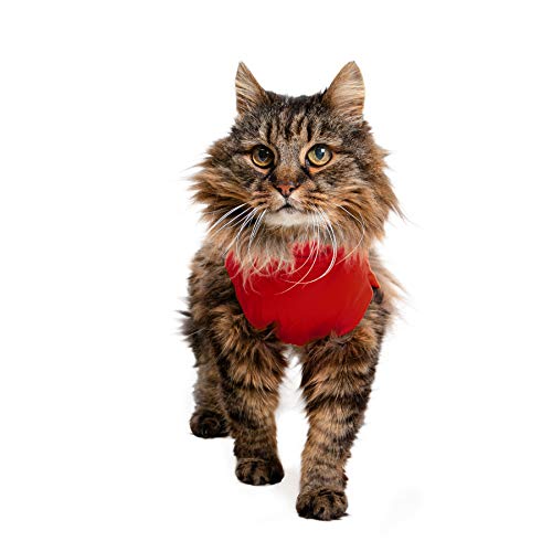 MPS Medical Pet Shirt Katze, Rot, XXXS