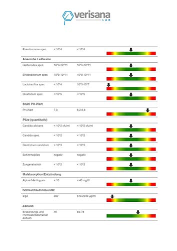 Leaky Gut Complete Stuhltest – Test auf Durchlässigen Darm, inkl. Zonulin & Alpha-1-Antitrypsin – Bei Magen Darm, Durchfall – Nachweis von Leaky Gut, Candida, Darmflora, sekretorisches IgA – Verisana