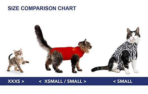 MPS Medical Pet Shirt Katze, Rot, XXXS