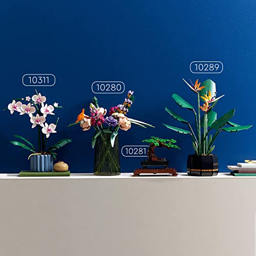 LEGO 10311 Icons Orchidee Set für Erwachsene zum Basteln von Zimmerdeko mit künstlichen Pflanzen, Botanical Collection Home Deko