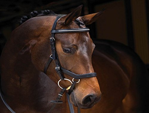 Rambo Micklem Diamond Comp. Bridle VB bk