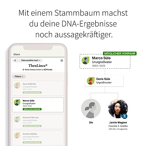 AncestryDNA: Genetischer Ahnenforschungstest, Abstammungsmix, AncestryDNA-Test