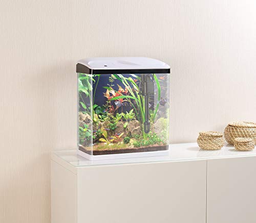 Sweetypet Nanobecken: Nano-Aquarium-Komplett-Set mit LED-Beleuchtung, Pumpe und Filter, 25 l (Aquarien)