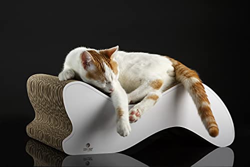 COSY AND DOZY der Kratzbaum, Katze Liege, Platz zum Spielen, bioabbaubare Materialien, ergonomisch, 50x28x18cm