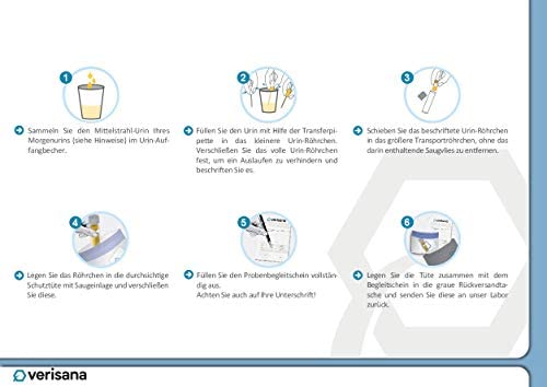 Jod Test – Test Kit auf Jodmangel & Kreatinin – Einfach & bequem zu Hause bestimmen – Jodmangel & Schilddrüse – Verisana Labor