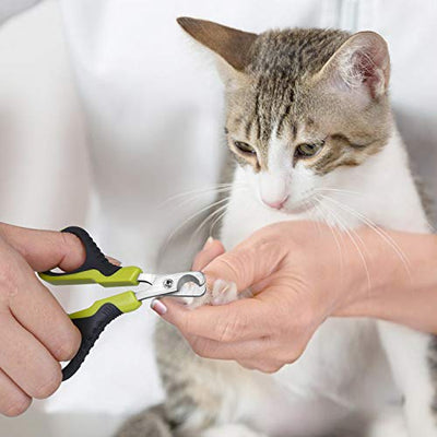 pecute Profi Krallenschere für Katzen mit Einzigartiger 25 Grad Schneidekopf, Professionelle Nagelschere Ideal für kleine Hunde, Welpen, Katzen, Hasen und Meerschweinchen,Grün+Schwarz