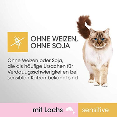 Perfect Fit Sensitive 1+ – Nassfutter für erwachsene, sensible Katzen ab 1 Jahr – Lachs in Sauce – Ohne Weizen & Soja – Unterstützt die Verdauung – 12 x 85 g