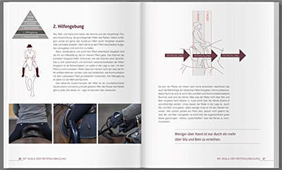 Reiten - leicht & logisch: So wirst du der bessere Reiter für dein Pferd. Mit Tipps für den Reitunterricht, die Pferdeausbildung und einem 10-Wochen-Trainingplan. Ein Reiter-Revue-Buch.