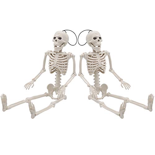 JOYIN 2 Pack 40.6cm Halloween Skelette | Bewegliche Ganzkörper-Gelenkskelette für Halloween Dekoration, Friedhofsdekorationen, Spukhauszubehör