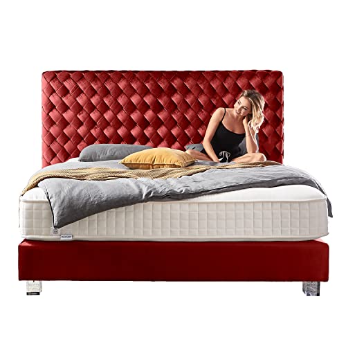 Moebella Libery Fino Boxspringbett 200x200 mit Matratze, Samt, 7-Zonen Taschenfederkern, Bett 200x200, Betten, unterschiedliche Größen (Boxspringbett 180x200 mit Matratze, 140x200, Bett 200x200)